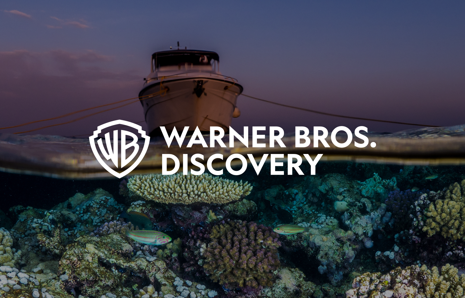 Warner Bros. Discovery